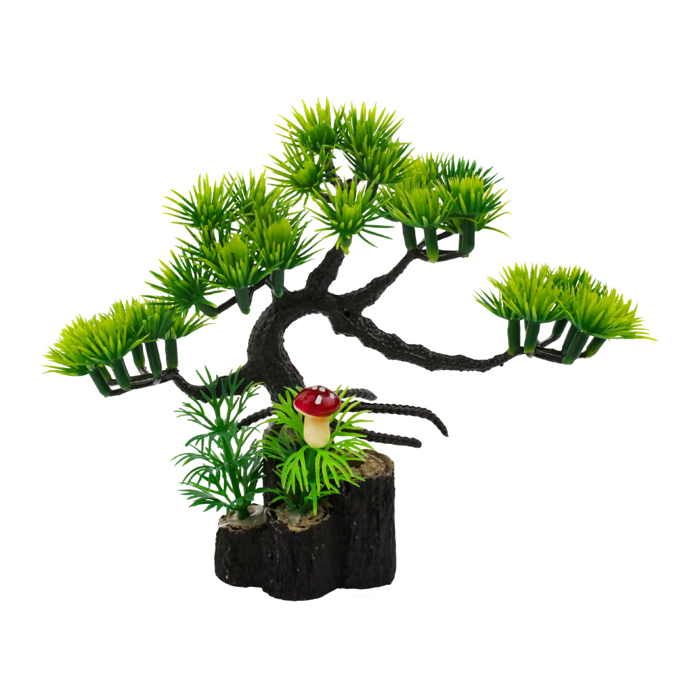 木椿小松