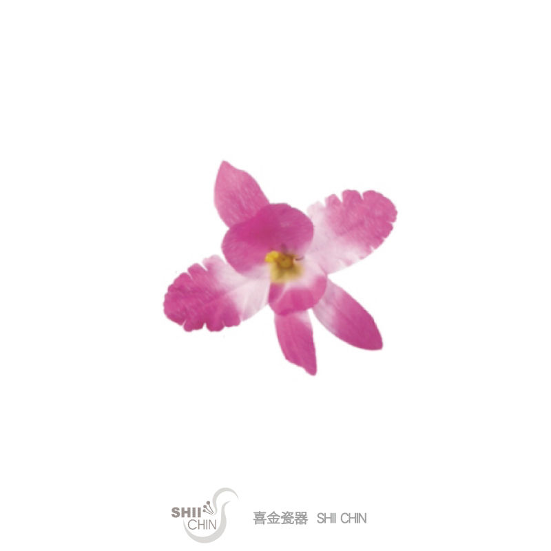 中蘭花-紫